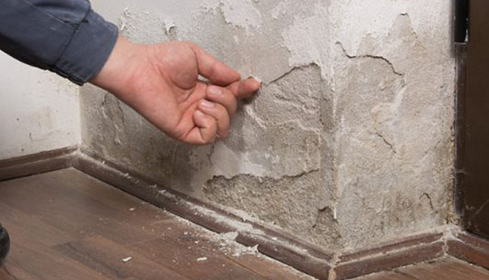 Damp Proofing | MG Corporation
